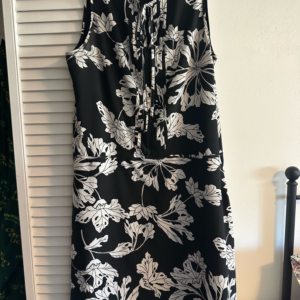 Banana Republic Black and Cream Dress